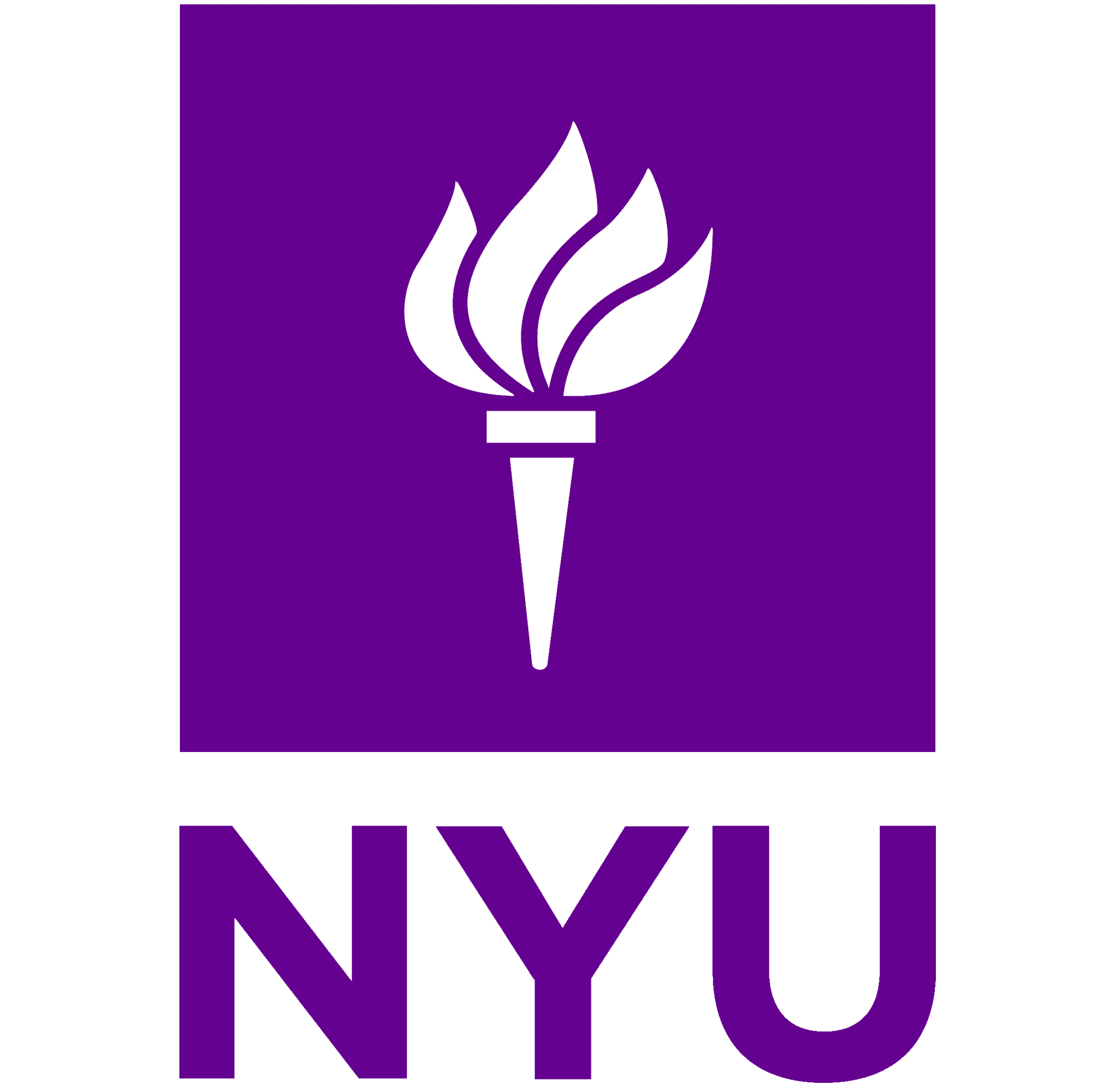 New York University